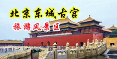 欧美大鸡巴操美女中国北京-东城古宫旅游风景区